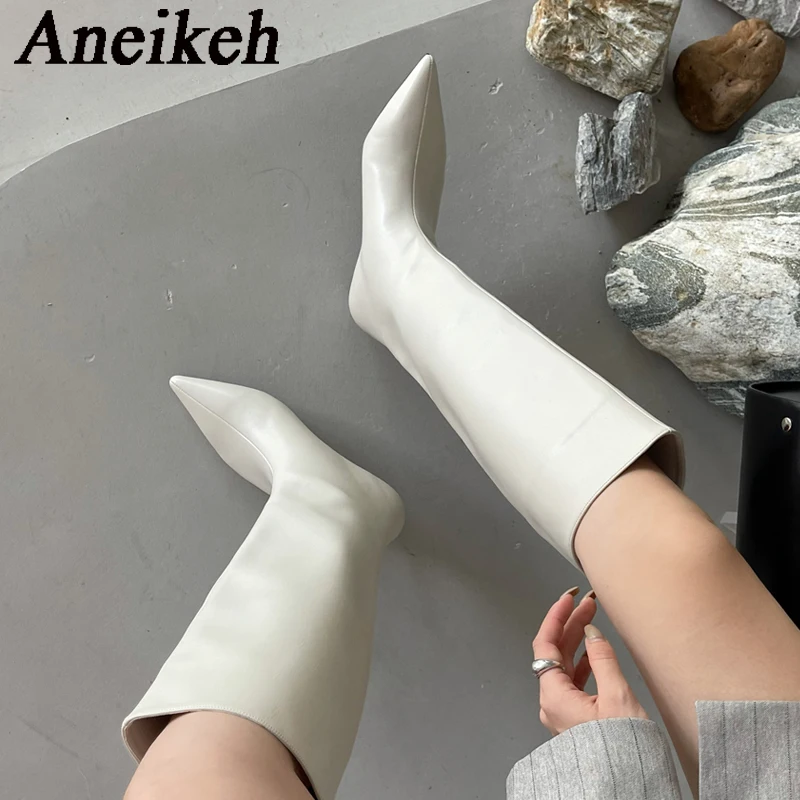 Aneikeh 2026 Fashion Sexy Poin - đánh giá và giá Women'S Fashion Knee High Boots