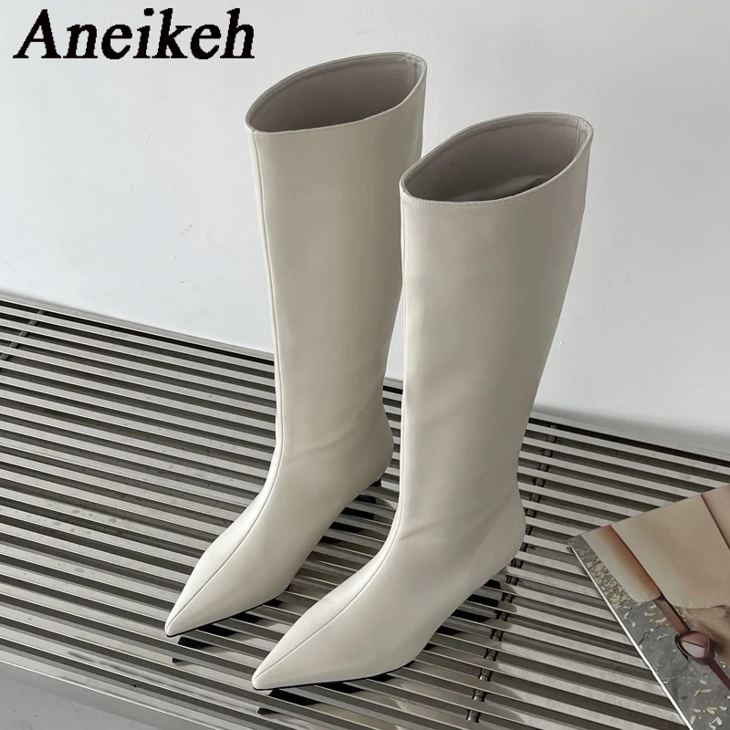 Aneikeh 2026 Fashion Sexy Poin - đánh giá và giá Women'S Fashion Knee High Boots